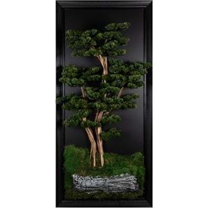 89*194 BONSAI PANO