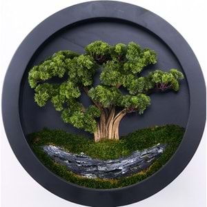 80 CM BONSAI TABLO