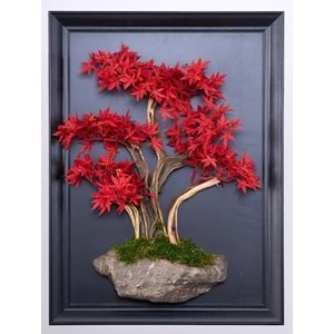 50*70 CM BONSAI TABLO