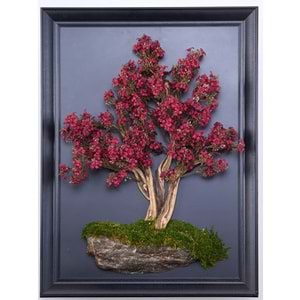 50*70 CM BONSAI TABLO
