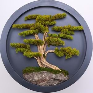90 CM BONSAI TABLO