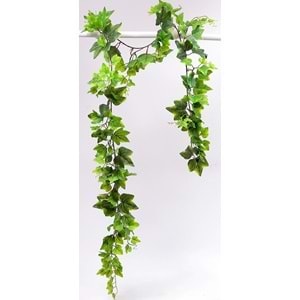 220 CM HEDERA TEK DAL SARMAŞIK
