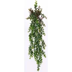 85 CM SARKAN BİTKİ