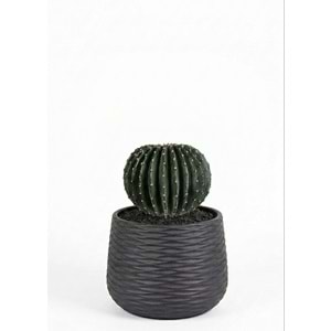 26 CM TOP KAKTUS