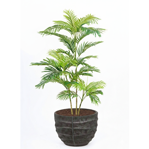 150 CM AREKA PALM