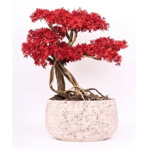 130 CM SAKSILI AĞAÇ BONSAI