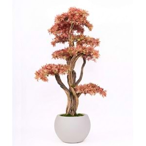 170 CM SAKSILI AĞAÇ BONSAI