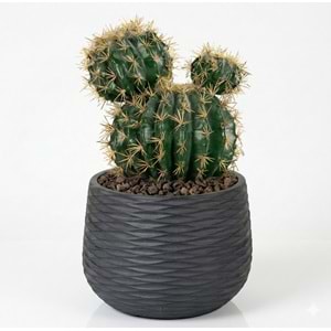 45 CM ÜÇ TOP KAKTÜS
