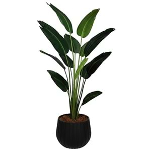 180 CM STARLİÇE