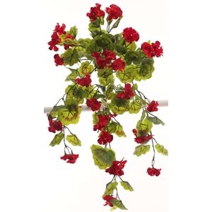 GERANIUM HANGING VINE RED