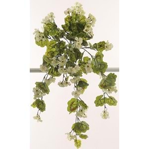GERANIUM HANGING VINE WHITE