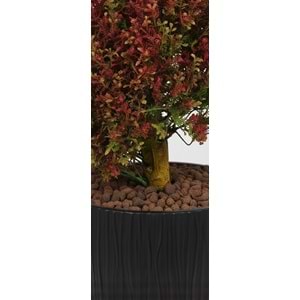 167 CM SPIRAL FERN TREE