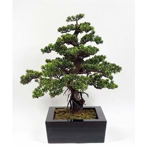 BONSAI 60*85 CM