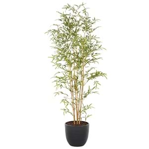 190 CM BAMBU AĞACI