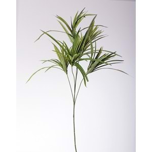 80 CM SPIDER PLANT