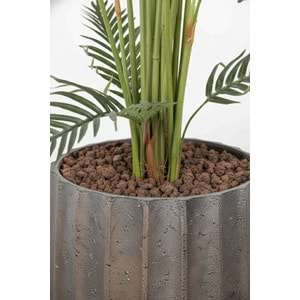 200 CM FERN PALM