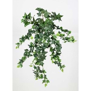 78 CM HEDERA SARMAŞIK
