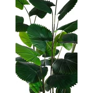 195 CM CIRCULAR PALM
