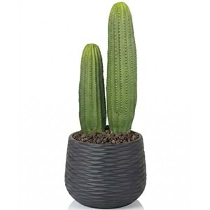 58 CM KAKTÜS