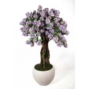 150 CM SAKSILI MOR DALLI AĞAÇ BONSAI