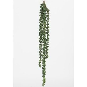 80 CM PLUM SARMAŞIK