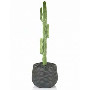 108 CM KAKTÜS