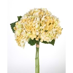 ORTANCA SARI 34 CM