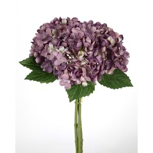 ORTANCA ALACALI MOR 34 CM