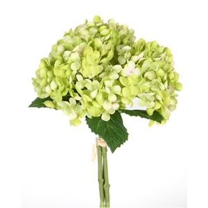 ORTANCA YEŞİL 34 CM