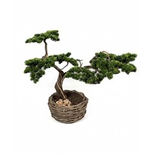 90 CM SAKSILI BONSAI AĞAÇ