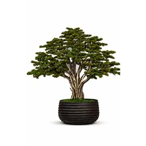 BONSAI HAYAT AĞACI H:210 CM