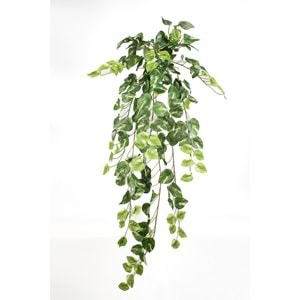 90 CM POTHOS SARMAŞIK