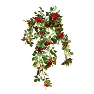 80 CM KIRMIZI FINDIKGÜLÜ SARMAŞIK