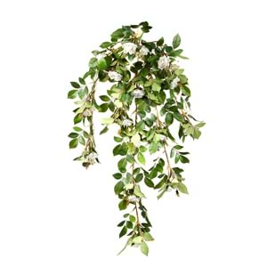 80 CM BEYAZ FINDIKGÜLÜ SARMAŞIK