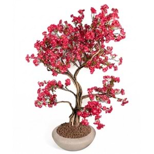 230 CM SAKSILI BONSAI