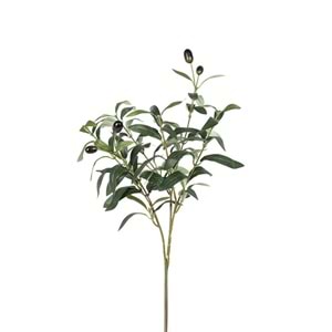 50 CM ZEYTİN DALI