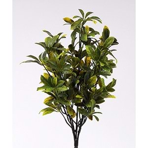 UV 52 CM PAWPAW SARI