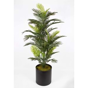 182 CM UV BIG ROBELLINI PALM