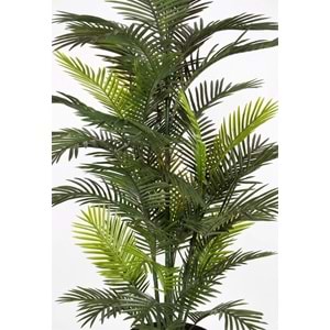 182 CM UV BIG ROBELLINI PALM