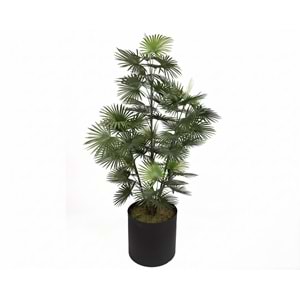 167 CM UV FAN PALM