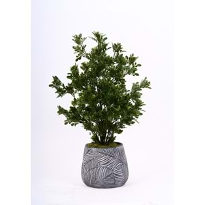 UV 78 CM TEA LEAF SPRAY