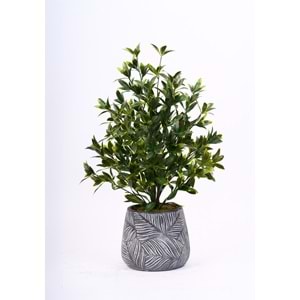 78 CM UV MAGNOLIA