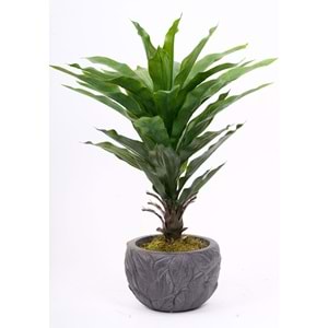 UV 76 CM AGAVE