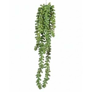 40 CM SARKAN BİTKİ