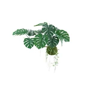 140 CM UÇAN MONSTERA