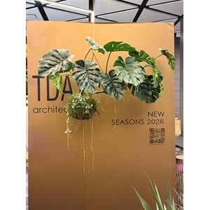 140 CM UÇAN MONSTERA