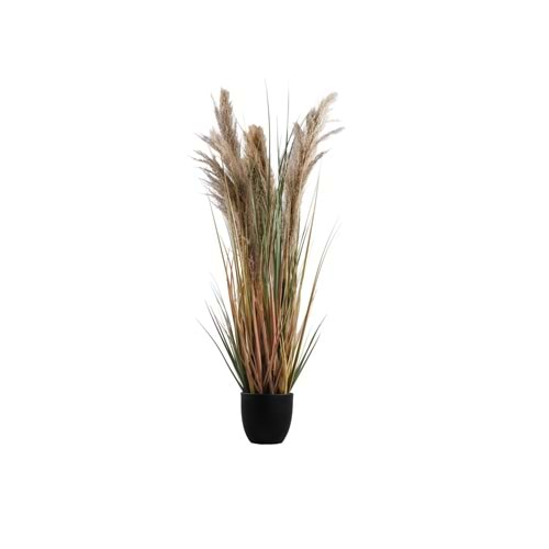 110 CM PAMPAS