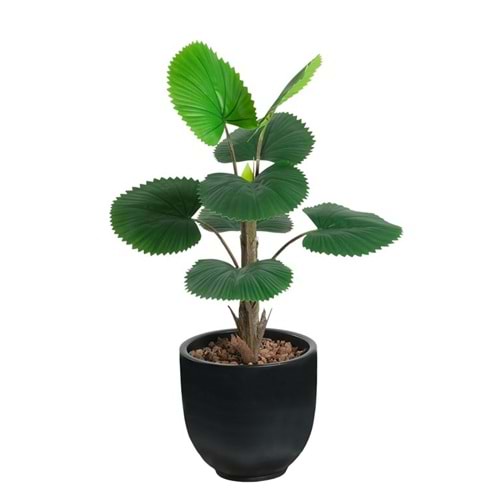75 CM CIRCULAR PALM