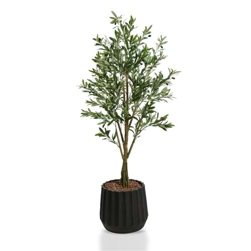 160 CM ZEYTİN AĞACI