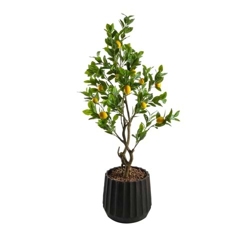 140 CM LİMON AĞACI